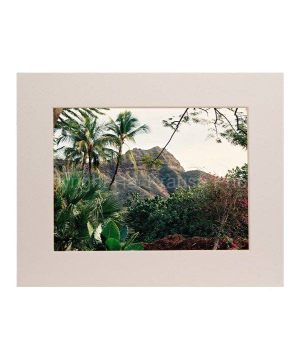 Diamond Head Foliage 5x7 Matted Photo Print Online now